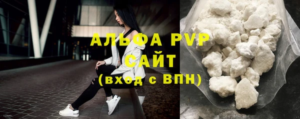 мдпв Инсар