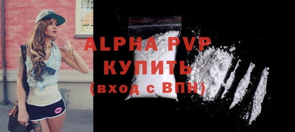 шишки Горно-Алтайск