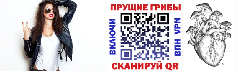 Псилоцибиновые грибы мухоморы  Новодвинск 